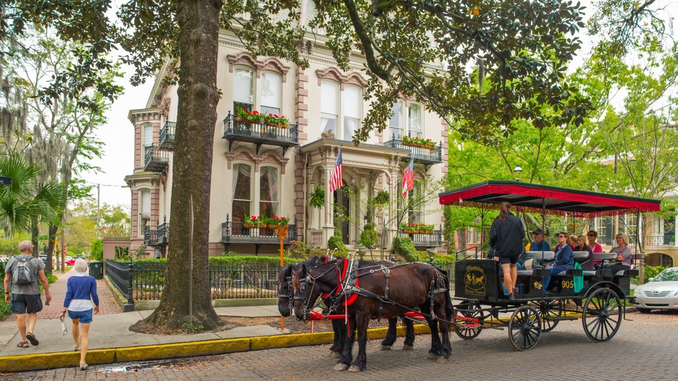 A horse-drawn carriage with passengers passes by a historic building in Savannah, Georgia.