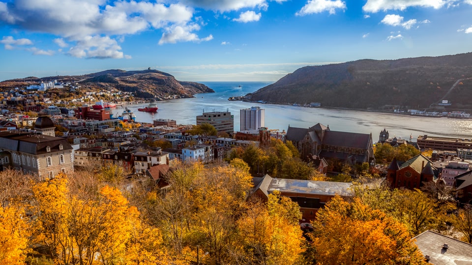 Aerial view of St. John's, Newfoundland and Labrador, showcasing a mix of residential and commercial buildings, with vivid autumn foliage and a harbor in the background.