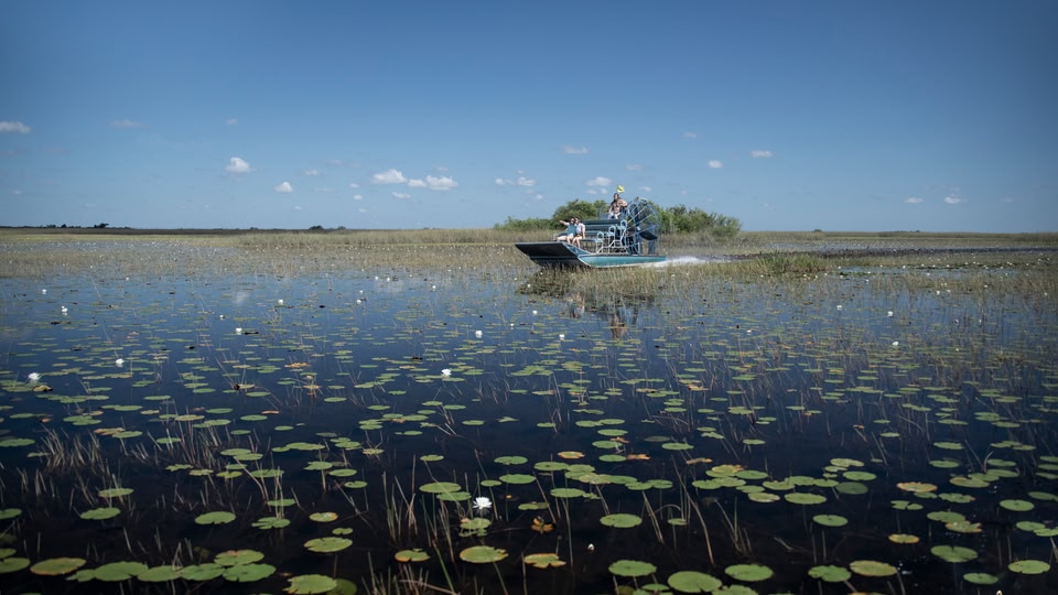 Airboat navigating through a lake with lily pads in Miami, Florida.