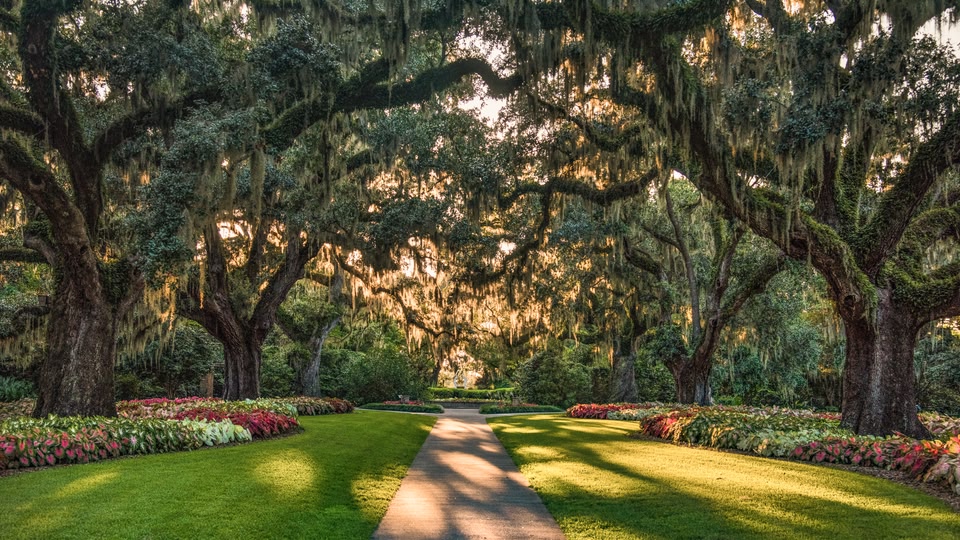 A serene garden with a pathway, surrounded by lush trees and colorful flowers, bathed in the warm light of the setting sun.