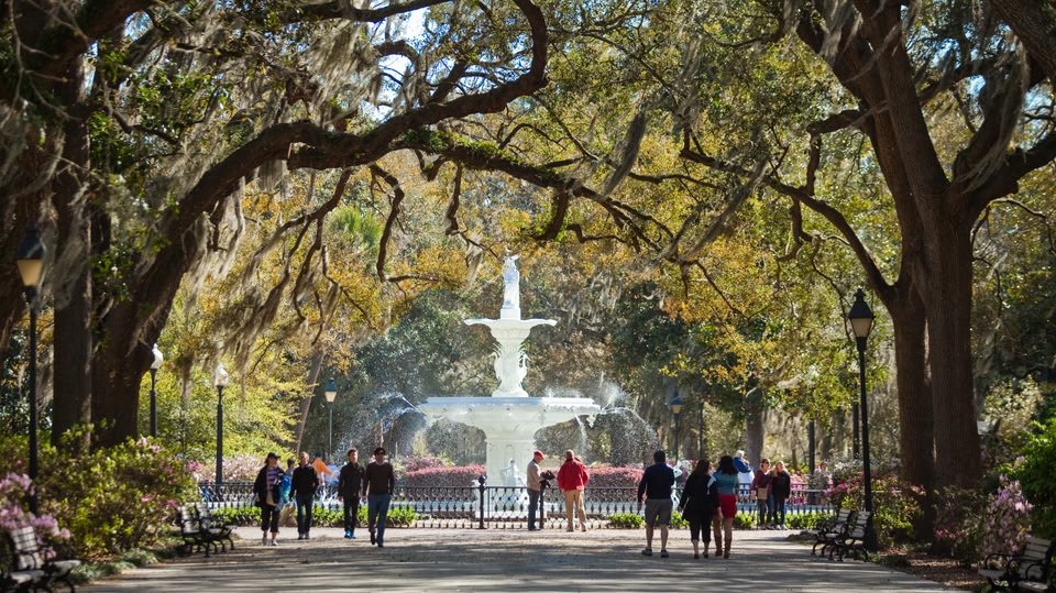 Visitors walking along a tree-lined path towards a historic white fountain in a park.