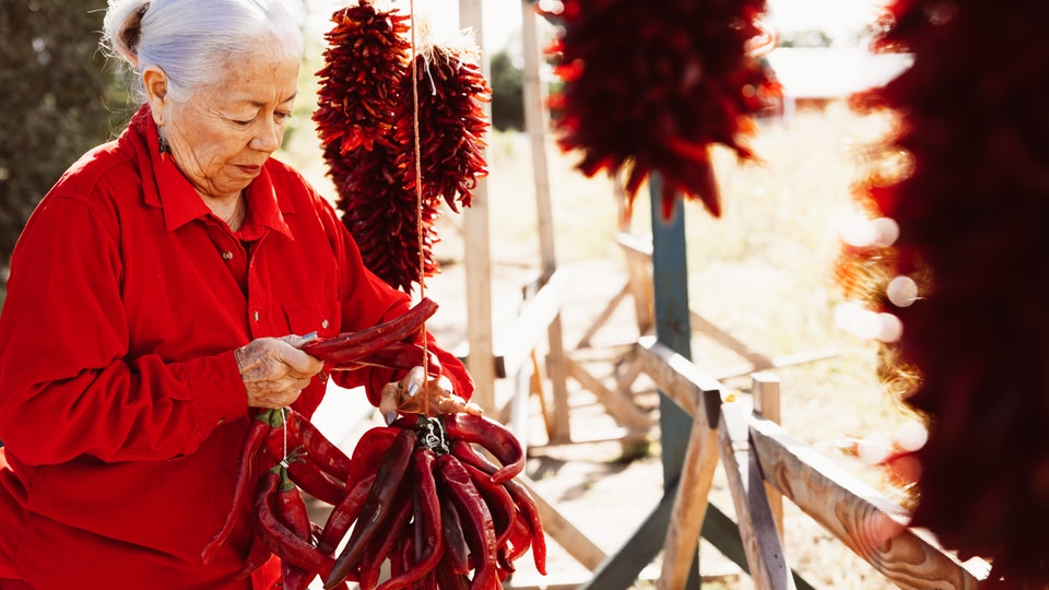 An elderly woman in a red shirt is holding a bunch of red chili peppers.