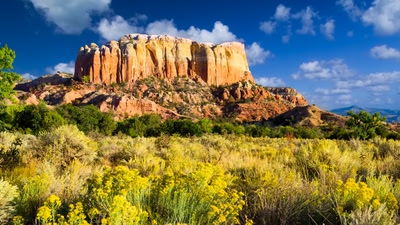 New Mexico