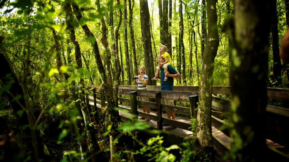 A family of three walks on a wooden bridge in a lush forest in Fort Myers, Florida.