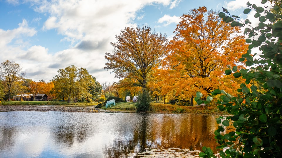 Autumn landscape with vibrant orange and yellow trees surrounding a serene lake