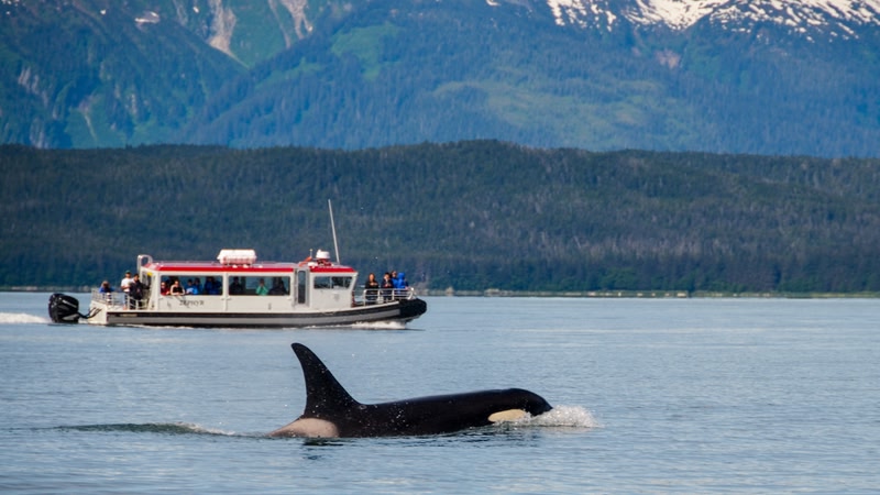 Alaska