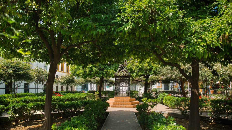 A serene garden pathway surrounded by trees and bushes with a decorative gate at the center.