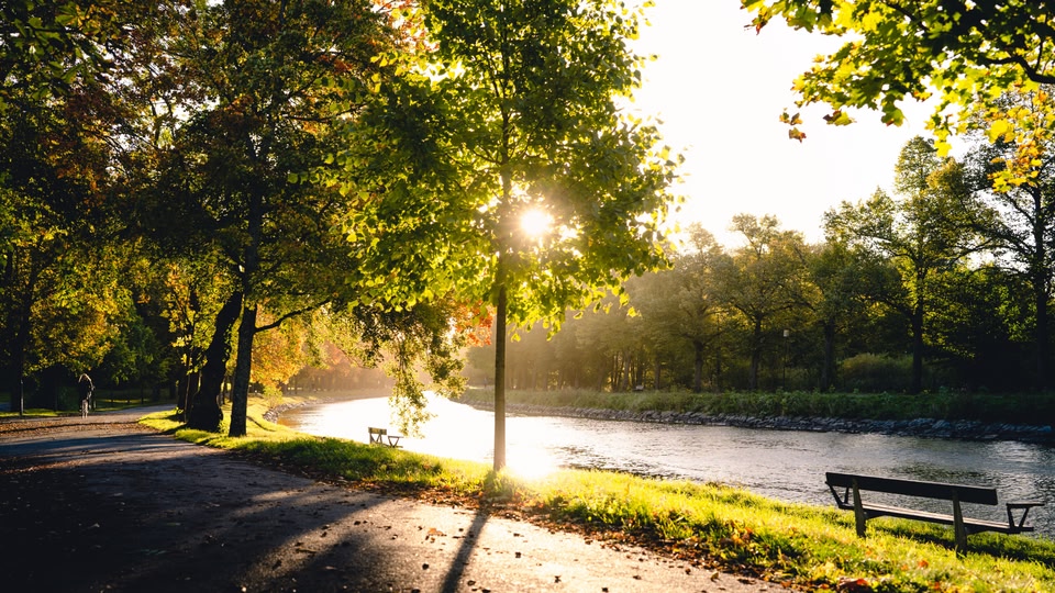 A serene park scene with a river, trees, and benches, bathed in warm sunlight at sunrise or sunset.