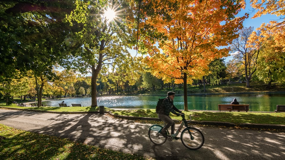 A person riding a bicycle along a path by a lake with autumn trees