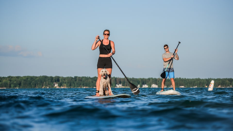 Two people and a dog on paddle boards on a lake.