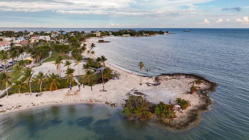 Aerial view of a sandy beach with clear blue waters, palm trees, and a few people lounging by the shore.