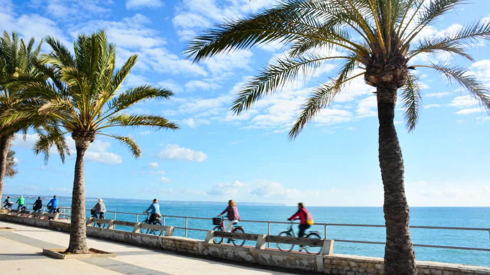 A group of cyclists riding along a seaside path lined with palm trees and overlooking the ocean.