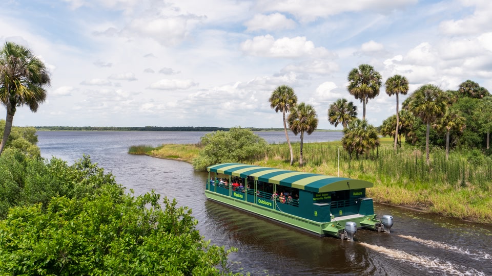 A green and white striped boat cruising on a calm river surrounded by lush greenery and palm trees.