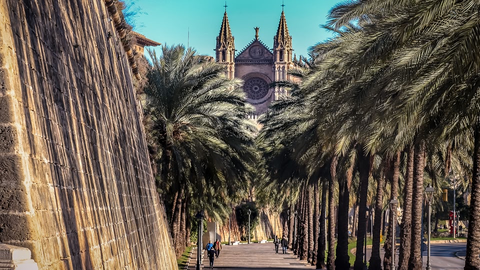 A serene alley lined with palm trees and historic stone walls, leading to a prominent cathedral in the distance.