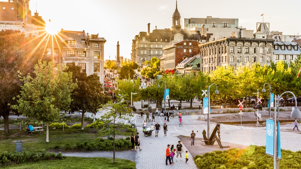 A busy city street at sunrise with pedestrians and cyclists, lined with trees and historic buildings.