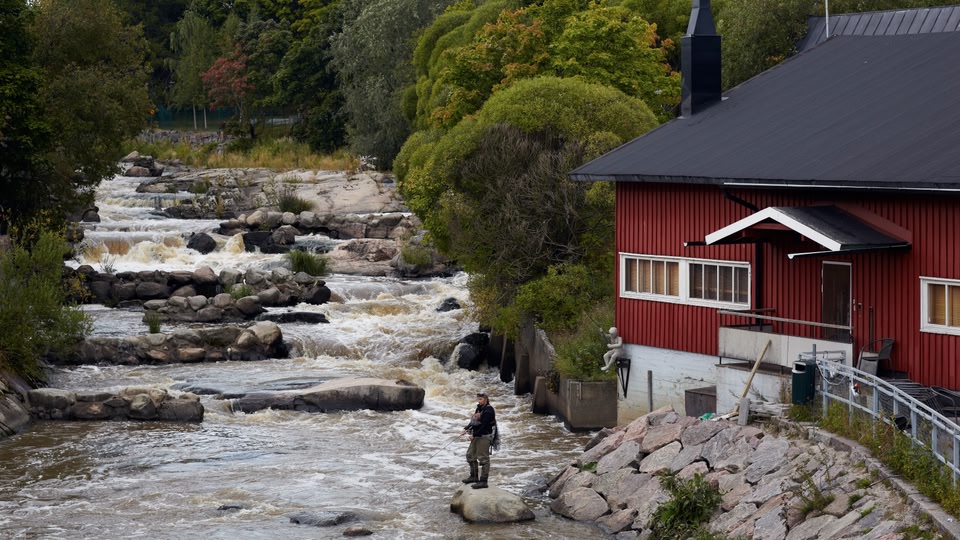 A person standing on a rock and fishing in a fast-flowing river with rocky banks and a red house in the background.