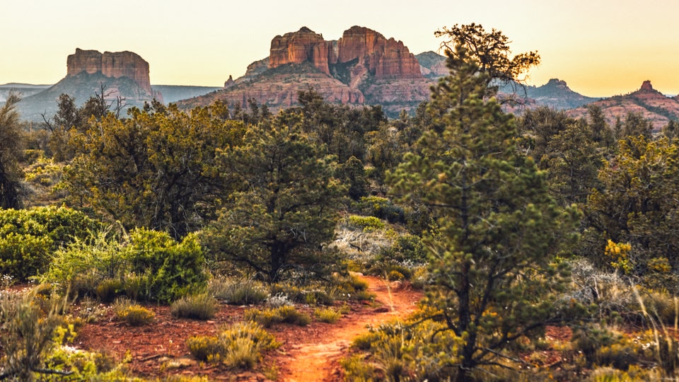 A scenic view of a desert landscape with red rock formations and green vegetation, captured during sunrise or sunset.