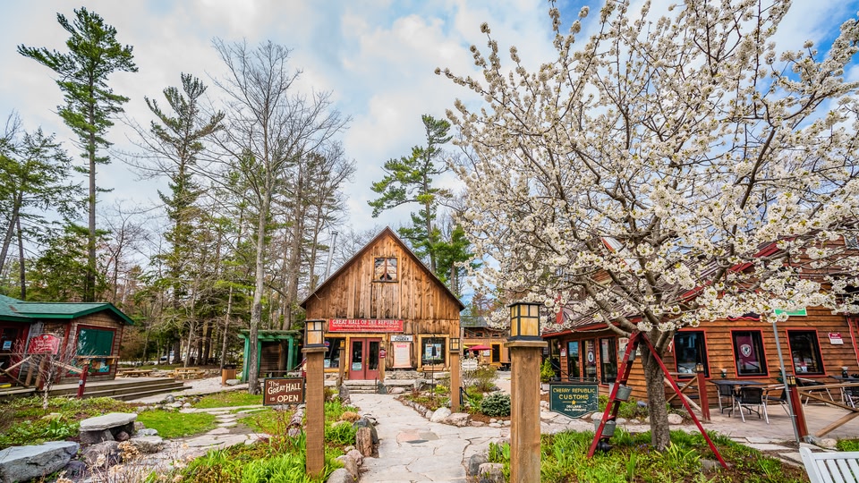 Outdoor scene with blooming cherry trees and quaint wooden buildings resembling cafes or shops, suggesting a springtime setting.