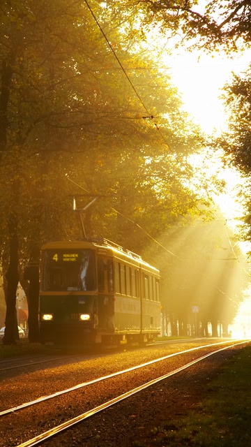 A tram on the tracks with the warm glow of the sun breaking through the trees at sunrise or sunset.