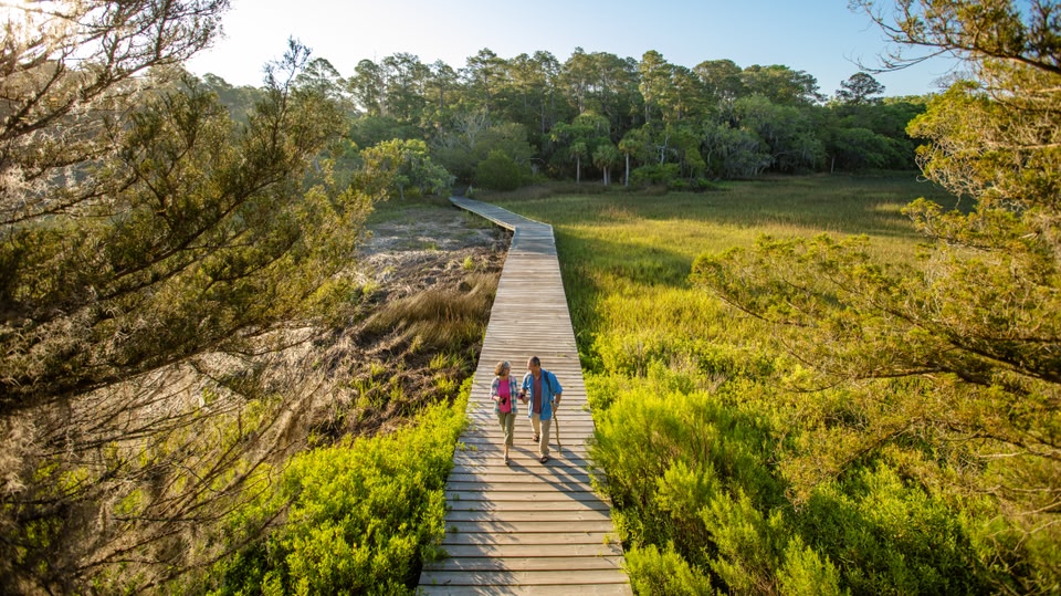 Two people walking on a wooden boardwalk through a lush, green marshland with tall trees in the background.