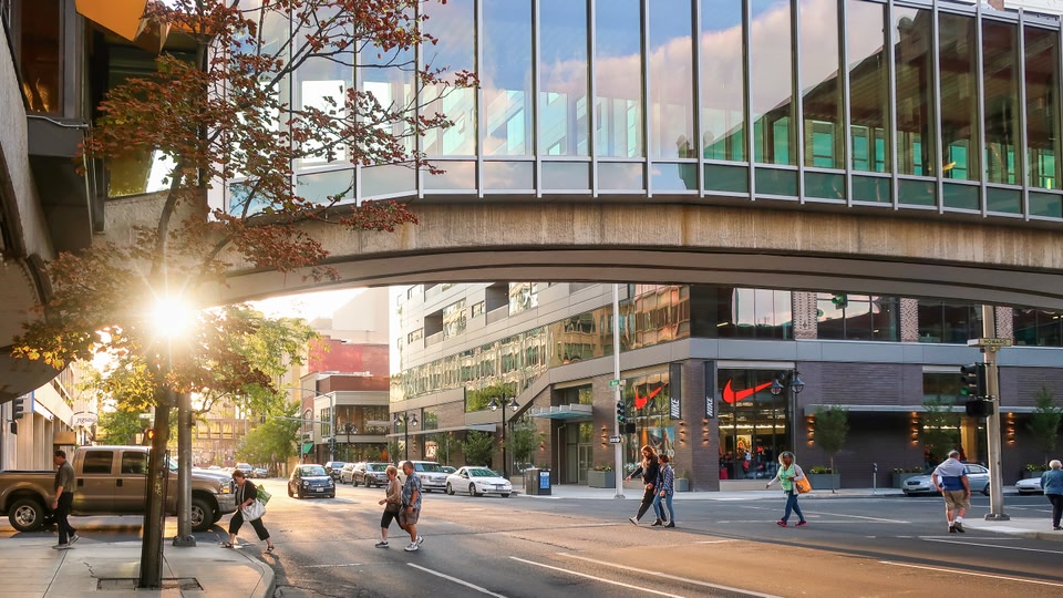 A scenic park pathway leading towards a historic clock tower with a serene pond in the foreground.